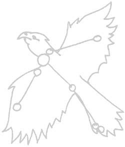 vogel_horus_a vogel_horus_a